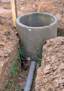 ������ ��������.