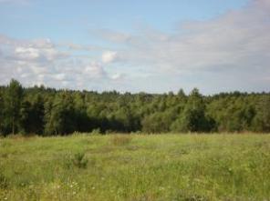 продажа участков, Всеволожский р-он, В. Осельки 22 км. от КАД