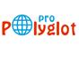 Программа английский 25 кадр PolyglotPro