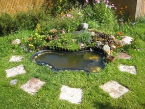 ������ ����. ����������� �����������.