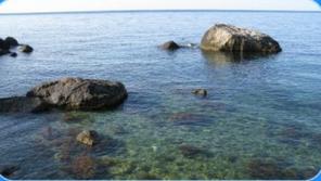 Детский отдых на море Крым Севастополь