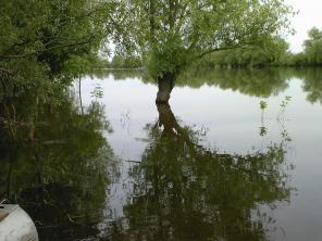 ��������� ��� � ������� � ������������ �������