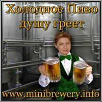 Оборудование для пивоварения: пивзаводы и минипивзаводы