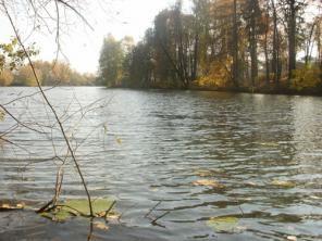 ���������� �. 13 ��. �. ���������. ��� 4 ������