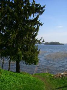 ������ ��� � �������� 25 ���. � ����� ��� 1�� �����