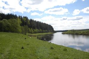 Земельные участки под усадьбы, ранчо, конюшни, КФХ