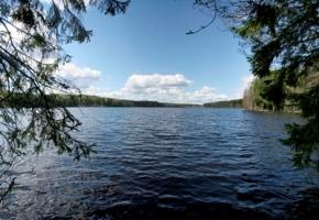 ���������� ���������� � ������ �� ����� �����������.