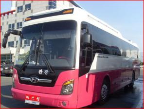туристический автобус Hyundai Universe Luxury 2007/10 год пробег 110,000km. с 2 дверьми