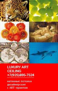 НАТЯЖНЫЕ потолки (дизайнерские) +7(925)895-75-24 с ART-принтом. ГЕРМАНИЯ, ФРАНЦИЯ
