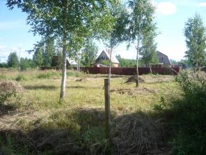 участок в деревне Дятлово