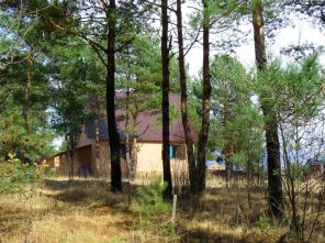 Загородный дом на лесном участке