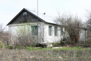 ��� � �������� 19 �����