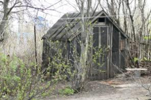 ��� � �������� 19 �����