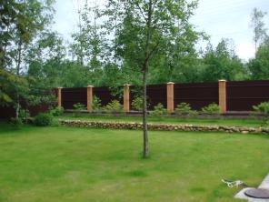 ��� 35 �� �� ����