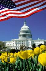 США, получение ПМЖ, легального статуса, легализация, тур.визы, Консультации.