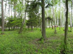 Продам коттедж Новорижское ш., 7км