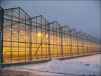 ПРОДАМ ТЕПЛИЧНЫЙ КОМПЛЕКС