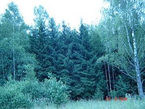 ������ ��������� ������� � ��������� ������