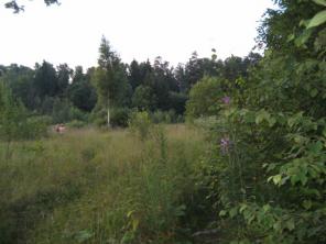Лучшие участки по Пятницкому шоссе 23км от Мкад, Алабушево, Дедешино,