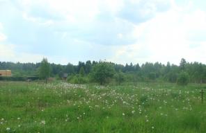 Земельный участок 15 соток по Новорижскому направлению