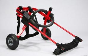 Инвалидная коляска для домашних животных.