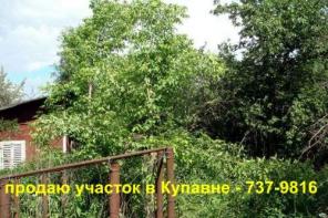 2 участка в Купавне