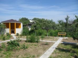 ������ ���� � ������ (��������!)