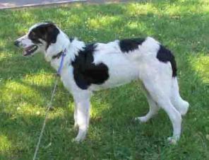 �������� ����� �� ����� ����