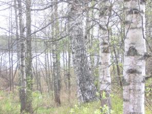 Продаю дом 60 кв.м на берегу озера,1-я линия.