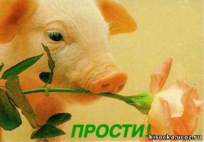 Служба извинений. Психологическая служба примирения и извинений Россия. Служба извинений Москва