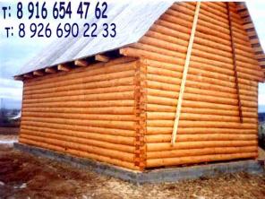 ���� ����