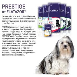 Корм Flatazor ® (Флатазор) — корма для собак и кошек