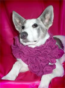 ����� ����� ���������� � ������ ����!