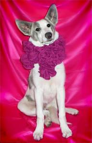 ����� ����� ���������� � ������ ����!