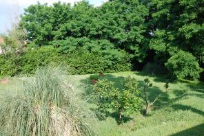 НЕДВИЖИМОСТЬ В ИТАЛИИ