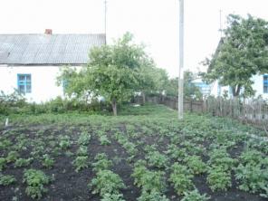 Продается дом в центре Прохоровки!!!