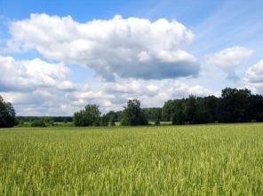 Продам коттедж 3 этажный с газовым отоплением, кирпичный