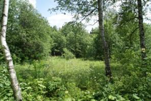 Коттедж 300 кв.м. в лесном поселке. Ярославское направление.