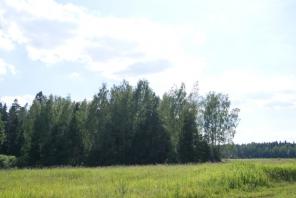 Участок на лесной поляне. 28 км от МКАД.