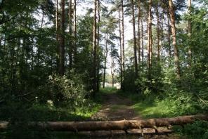 �������� 65 ��.�. � ��������