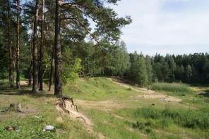 �������� 65 ��.�. � ��������