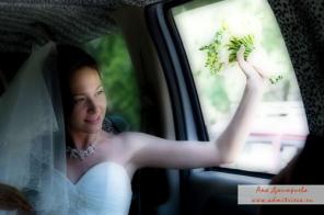 Фотограф Анна Дмитриева