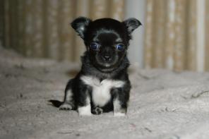 ������ ������ ������ �����-���.