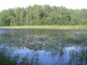 Продам участок 25 соток с двумя коттеджами в Приозерском районе (пос. Хвойное).