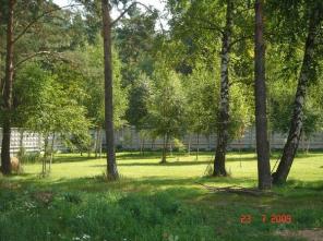 ������� ����������� ���� � 19 �� �� ������..