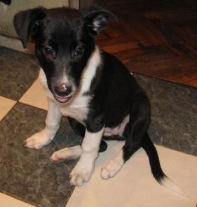 ����������� ����� ��������-����������� ������� � ������ ����!!!