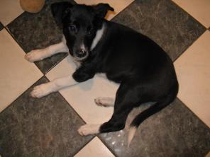 ����������� ����� ��������-����������� ������� � ������ ����!!!