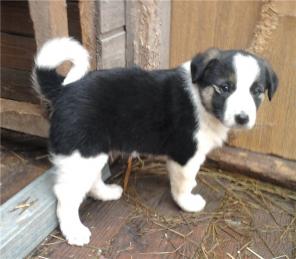 �������� �����, ������� ����, ������ � ������ � ���!