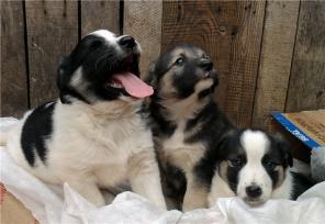 �������� �����, ������� ����, ������ � ������ � ���!