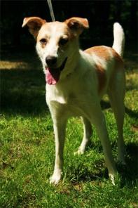 ��������� ������� - �����! ���� �����! � ���!